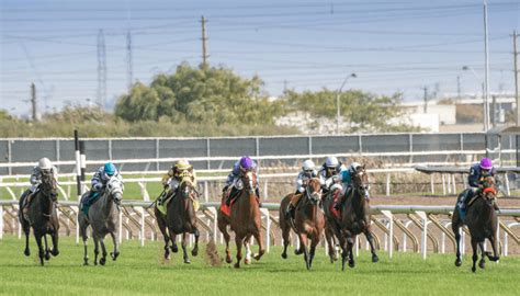 kentucky derby winning bets.
